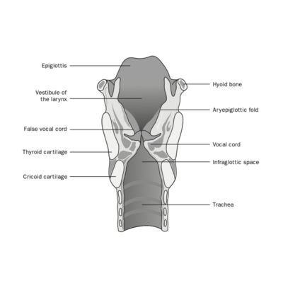 Table of Contents – Trach Resource